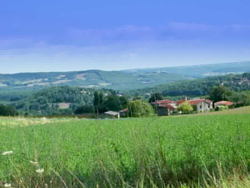 tarn gite barn 4.jpg